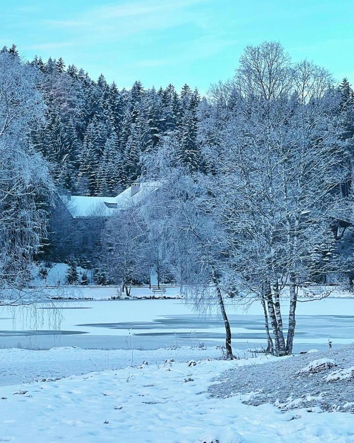 Lakeside Apartments Seefeld เซเฟลด์ อิน ทิโรล ภายนอก รูปภาพ